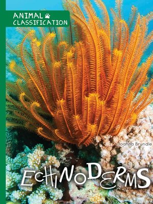 cover image of Echinoderms